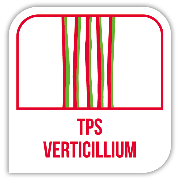 TPS verticillium